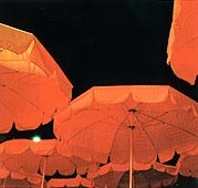 奔放